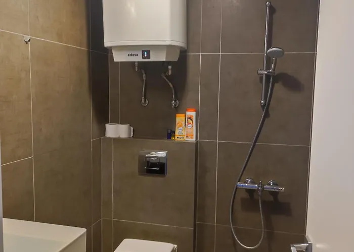 Pavlin 普罗夫迪夫