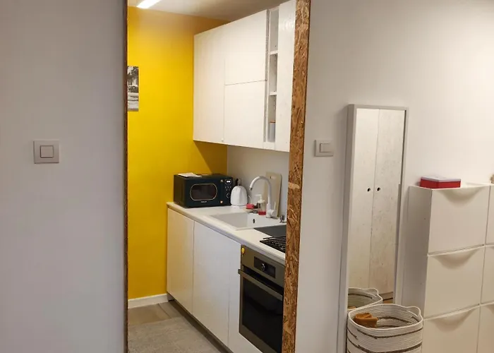 Pavlin 公寓 普罗夫迪夫